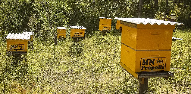 Fazenda